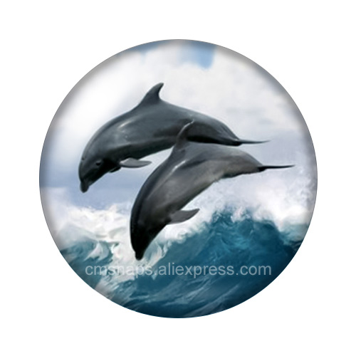 Love Style dolphins Couple Sea - Jewelry Making For Couples review and price
